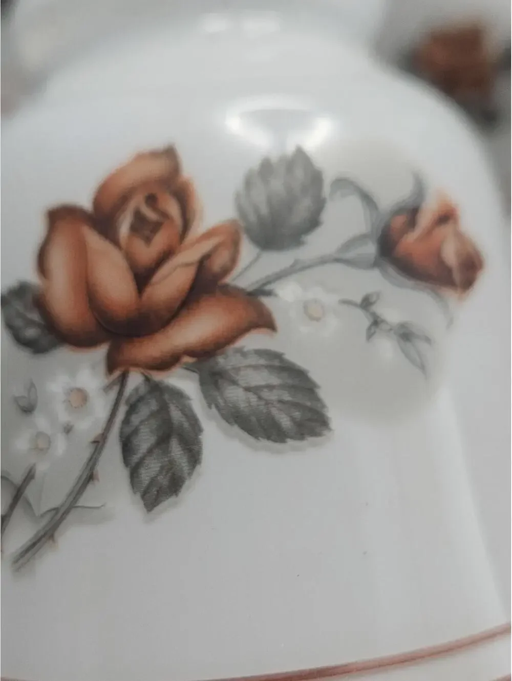 Set of 3 Vintage Gothic Floral Glass Lamp Shades Red Rose Black Grey 2 1/8